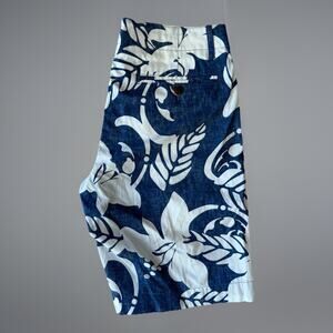 Todd Snyder Reyn Spooner Shorts Shorts 29 Blue Hawaii Art Summer Vacation NWT